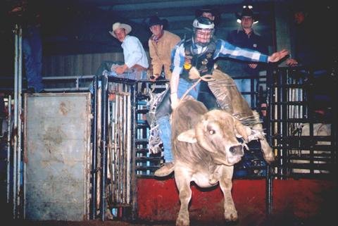 Jesse on a bull